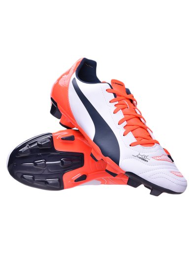 evoPOWER 4.2 FG