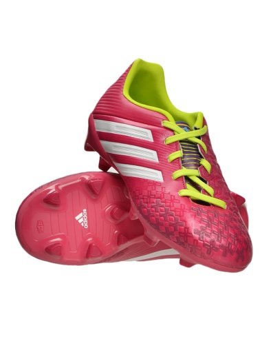 P Absolado LZ T