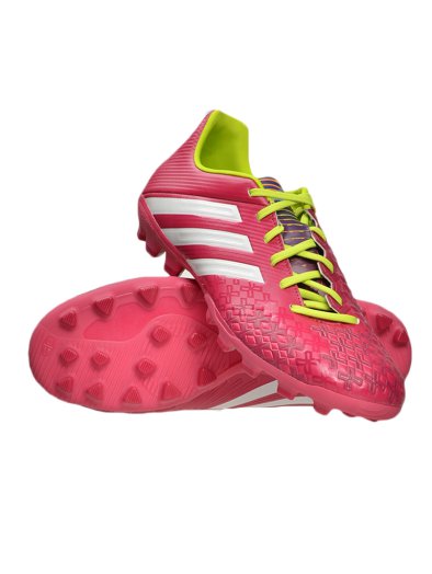 P ABSOLADO LZ T