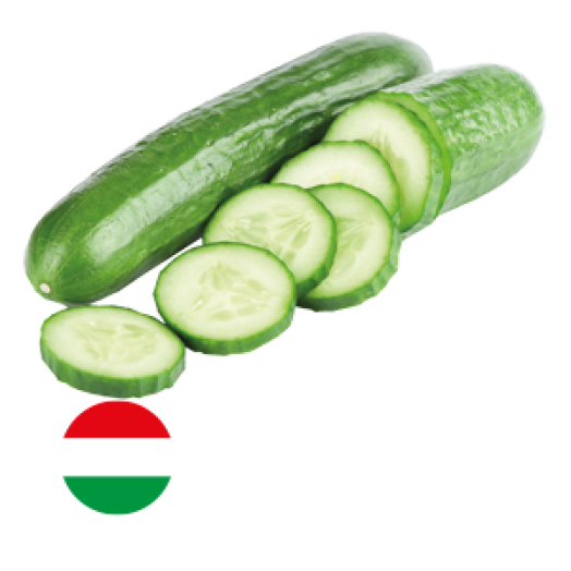 Kígyóuborka