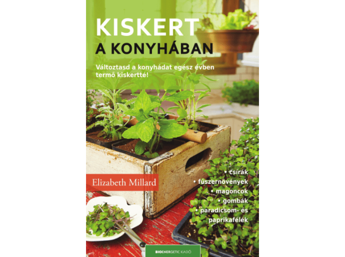 Kiskert a konyhában