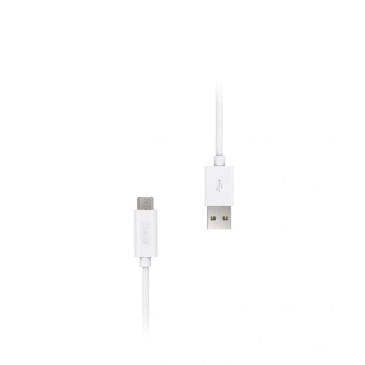Artwizz - USB-C Cable to USB-A male (1 m)