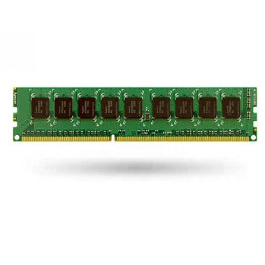 Synology 2 GB ECC memória