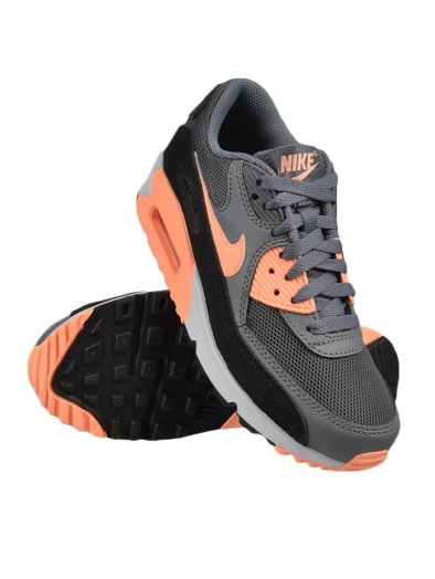 Wmsn Nike Air Max 90 Essential