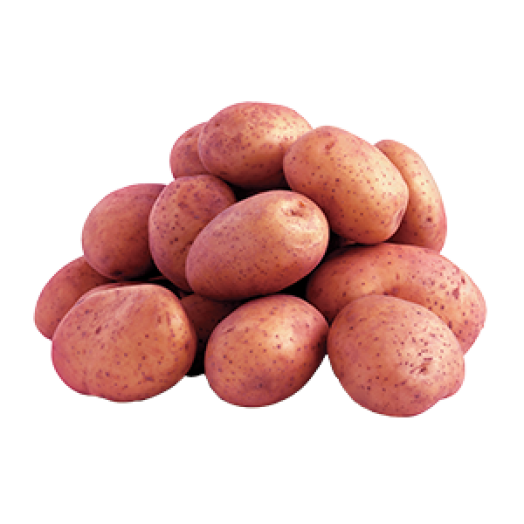 Újburgonya