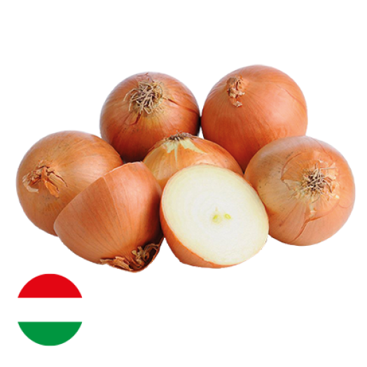 Vöröshagyma