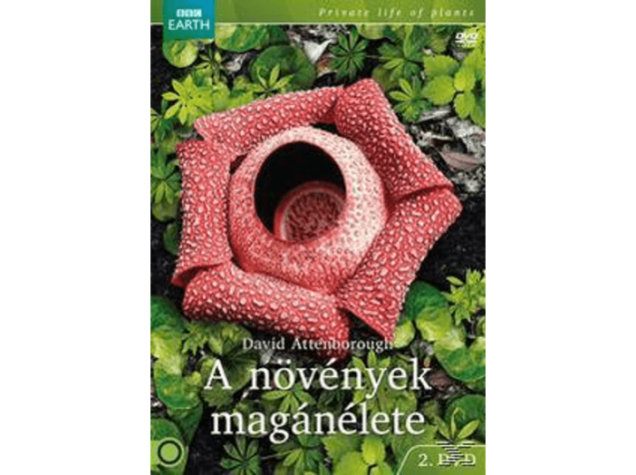 A növények magánélete DVD