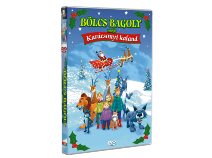 Bölcs bagoly meséje - Karácsonyi kaland DVD
