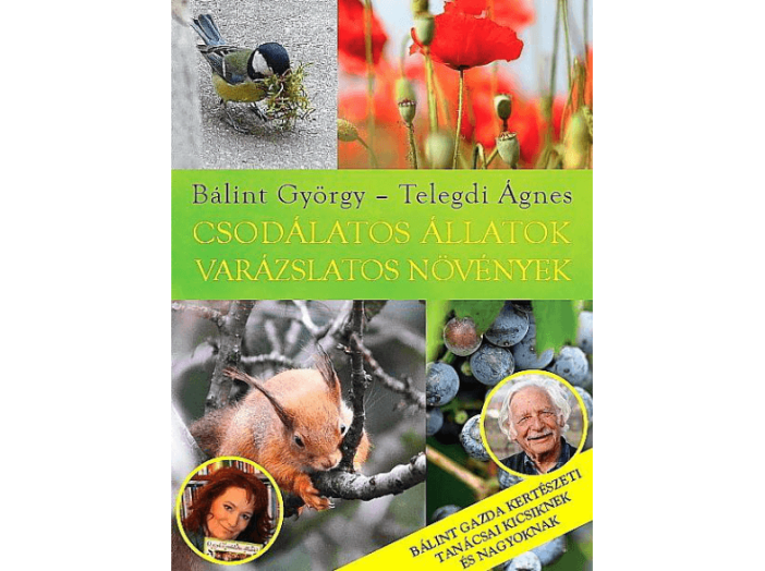 Csodálatos állatok - varázslatos növények