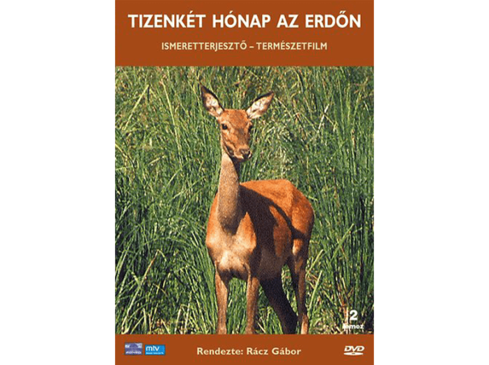 Tizenkét hónap az erdőn DVD