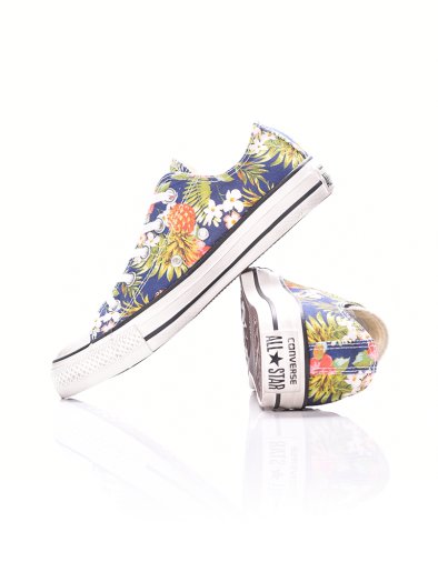 Chuck Taylor All Star