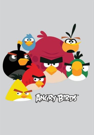 Iskolai füzet, franciakockás [88-32], A4, 32 lap, ANGRY BIRDS - Grey