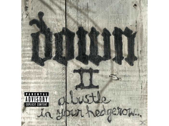 Down II - A bustle in your hedgerow LP