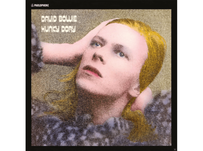 Hunky Dory LP
