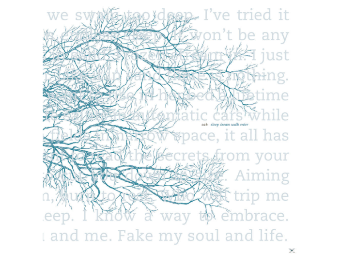 Sleep Dream Walk Enter LP