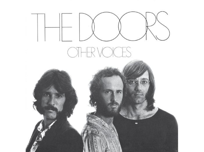 Other Voices LP