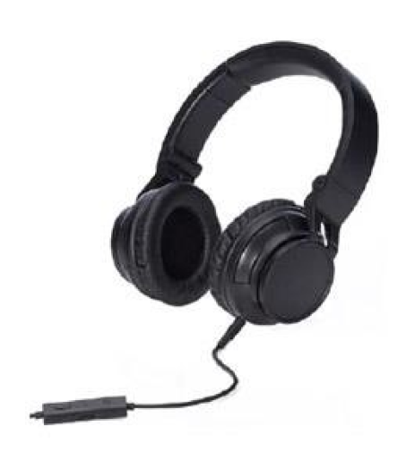HP H3100 Black Wired Headphone