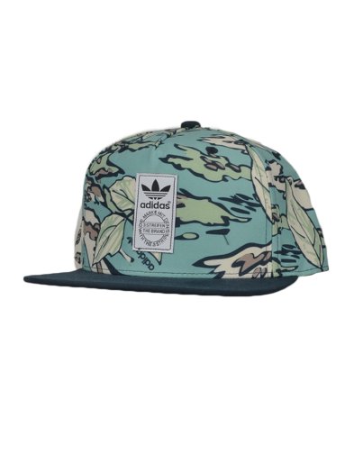 GRAPHIC SB CAP