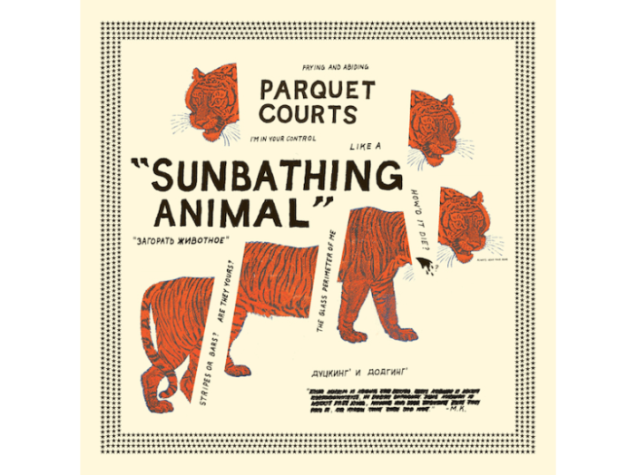 Sunbathing Animal LP