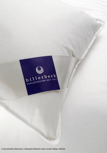 Billerbeck - Daunalex háromrétegű párna