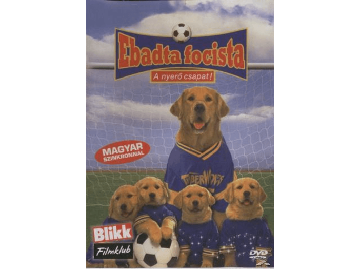 Ebadta focista DVD