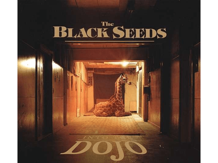 Into the Dojo LP