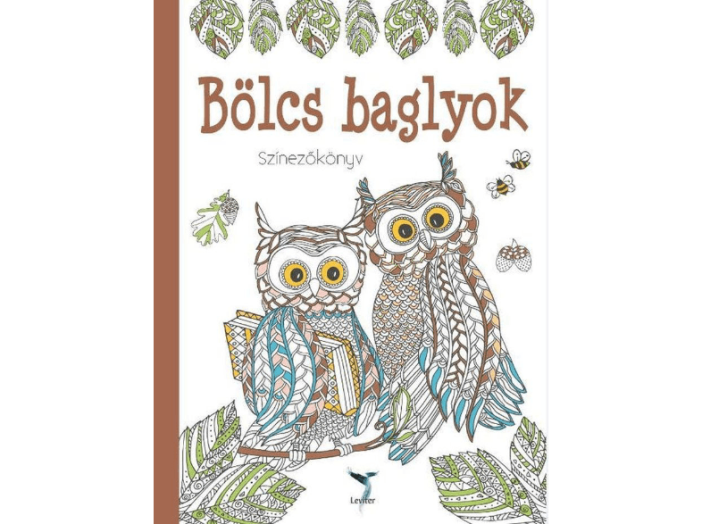 Bölcs baglyok - színezőkönyv