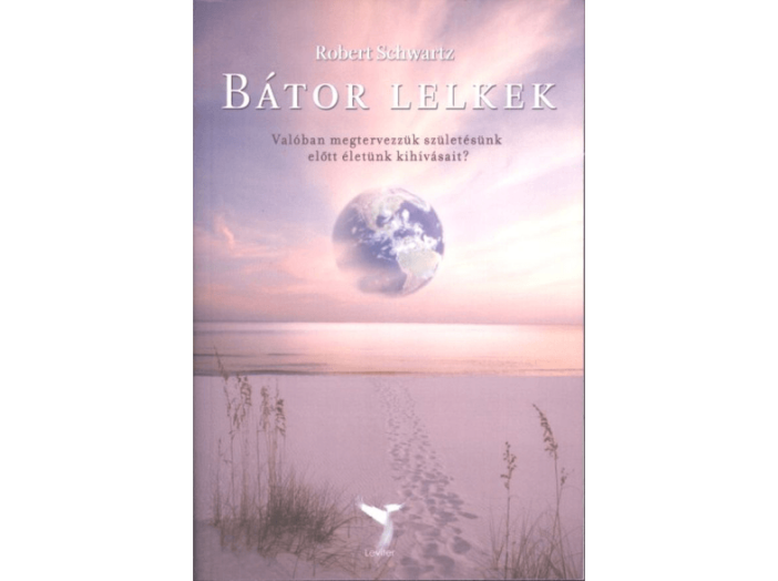 Bátor lelkek - Valóban megtervezzük születésünk előtt életünk kihívásait