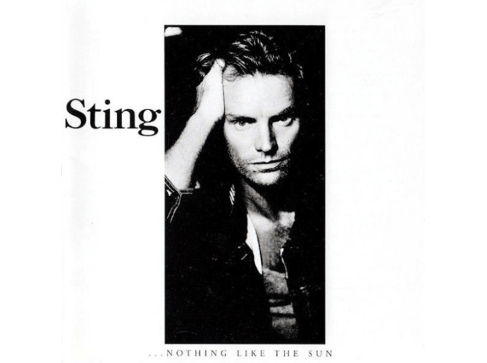Nothing Like the Sun LP