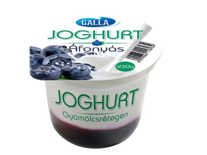 Galla gyümölcsjoghurt