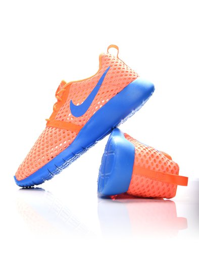 Nike Roshe One Flight