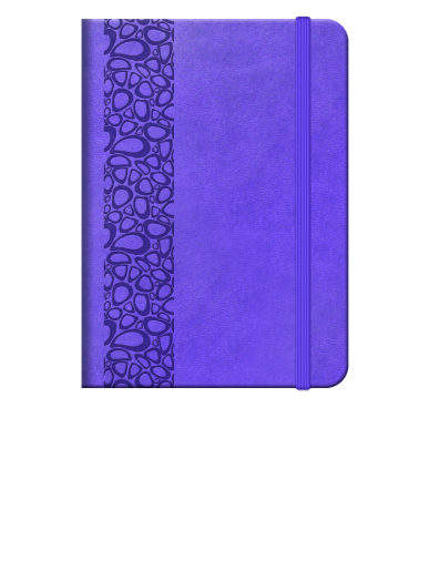 Elegant Flexi agenda B6 napi
