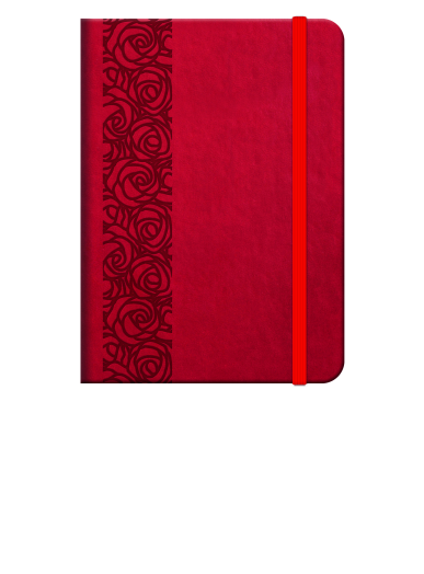 Elegant Flexi agenda B6 napi