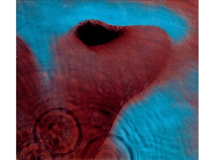 Meddle (Vinyl LP (nagylemez))