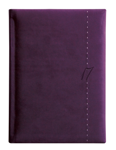 Agenda Linea L021 A/5 napi