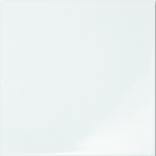CARNEVAL FALI CSEMPE 20X20CM FEHÉR  MATT,1M2/CS