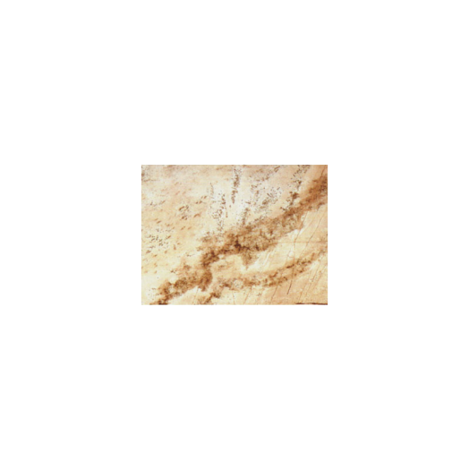 LAMINÁTCSÍK SAND MOH.WY6QZ 2095X32MM
