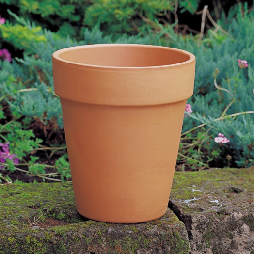 PÁLMACSERÉP 22 CM