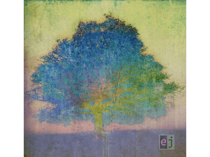 EJ (Vinyl LP (nagylemez))