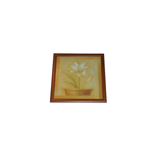EMA3 50X50 CM EURO KÉP