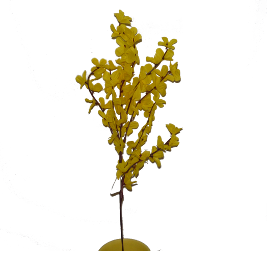 ARANYESŐ 3 ÁGÚ                      55CM                    TAVASZ 2015