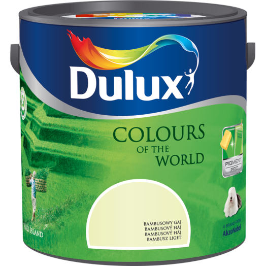 DULUX NAGYVILÁG SZÍNEI 5L ZSENGE KÁVÉCSERJE