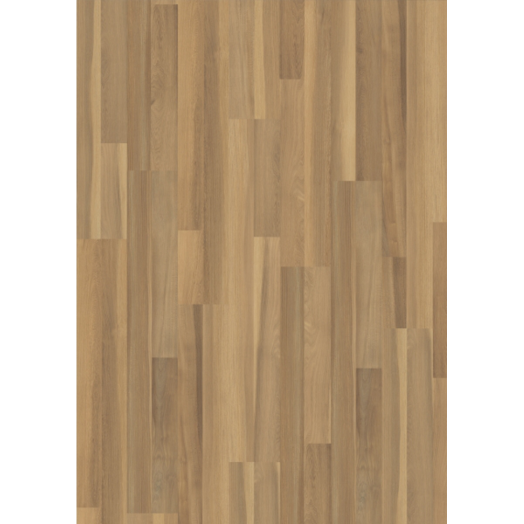 SZEGŐLÉC HEGYI SZIL 240X1,7X6CM (269659)
