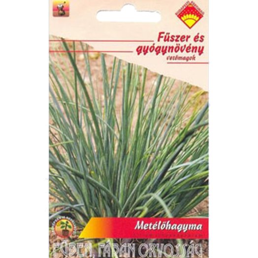 METÉLŐHAGYMA FŰSZER- ÉS GYÓGYNÖVÉNY VETŐMAG