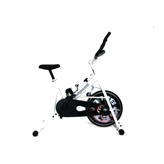 AEROBIKE SZOBAKERÉKPÁR 20˝          MULTIFUNKC.DIGIT.KIJELZŐVEL (297188
