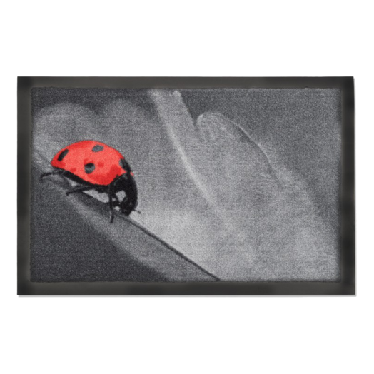 BEETLE SZENNYFOGÓ LÁBTÖRLŐ 60X40CM