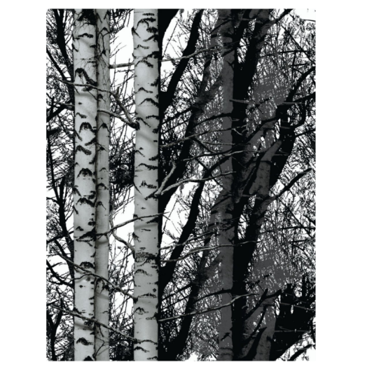 ÖNTAPADÓS FÓLIA 2MX67CM (346-8095) D-C-FIX, "RENGETEG"