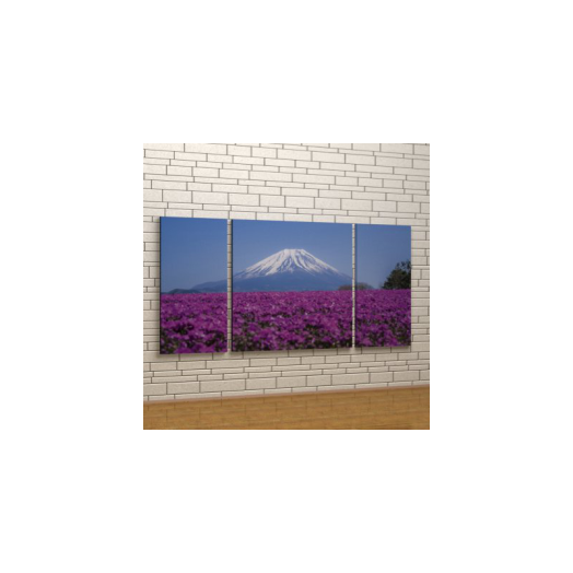 VÁSZONKÉP KOMPLEX 125X60CM          VIRÁGOS RÉT A HEGY LÁBÁNÁL