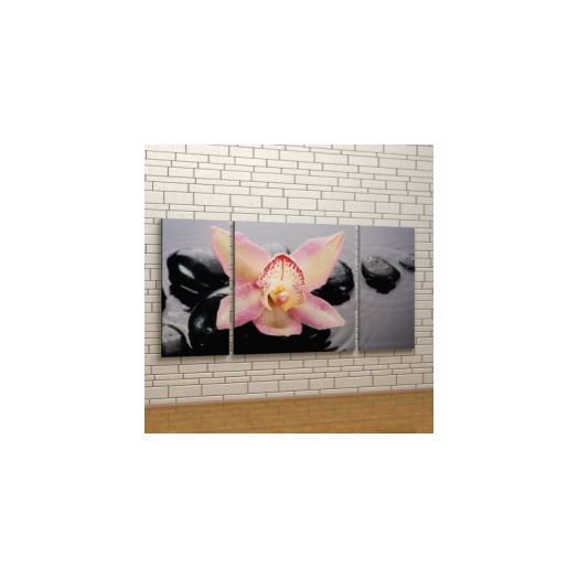 VÁSZONKÉP KOMPLEX 125X60CM KÖVEK KÖZT