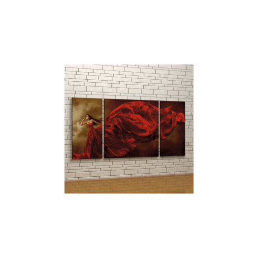 VÁSZONKÉP KOMPLEX 125X60CM SELYMES LÁGYSÁG